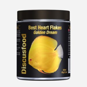Discusfood - Best Heart Flakes - Golden Dream