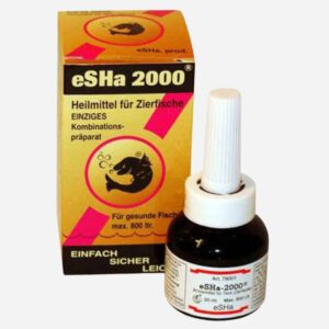 eSHa 2000
